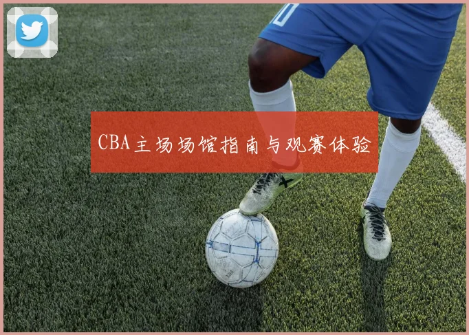 CBA主场场馆指南与观赛体验