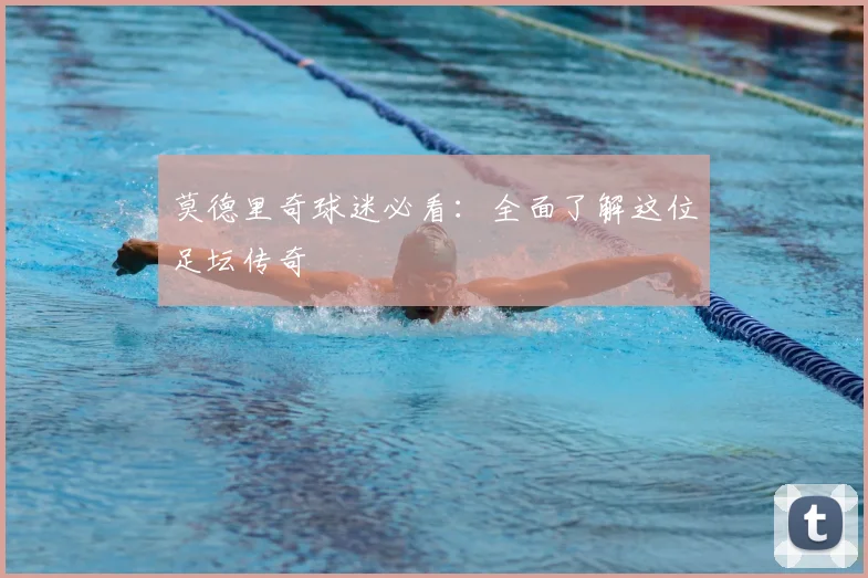 莫德里奇球迷必看:全面了解这位足坛传奇